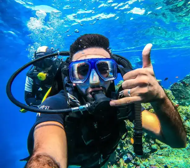 diving marsa alam activities