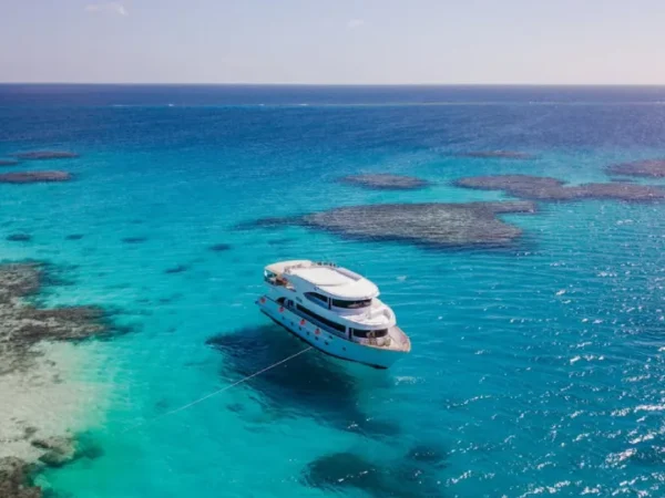 Hamata & Qulaan Islands Snorkeling Tour – Red Sea Paradise from Marsa Alam