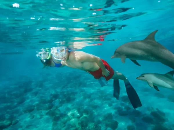 Samadai Reef Dolphin House Snorkeling Trip from Marsa Alam