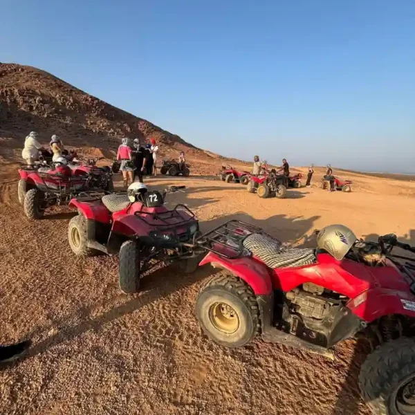 marsa joy desert adventures safari